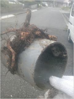 正常な排水桝