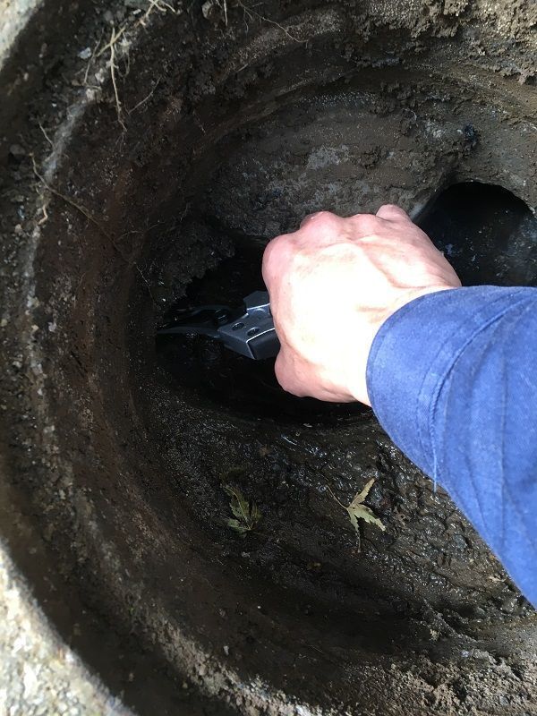 排水管に絡みついた木の根を除去