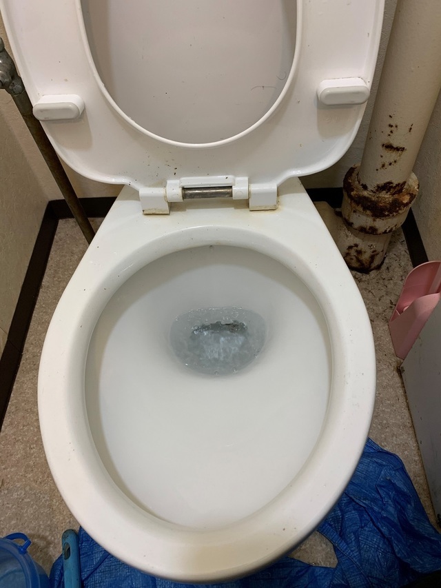 トイレトラブルは軽症が多い
