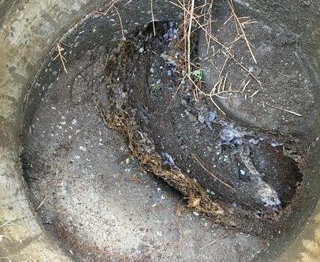 木の根を除去する作業